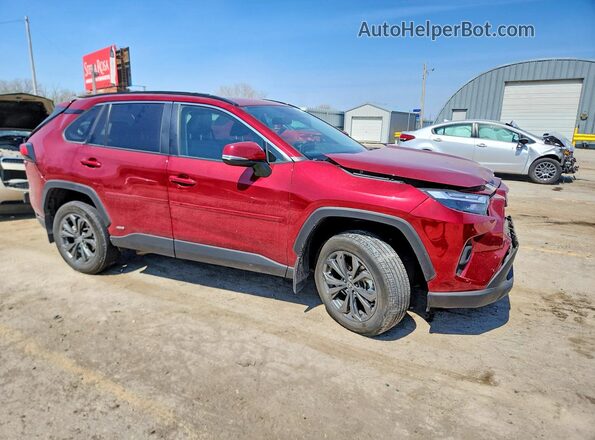 4T3B6RFV2RU175793 2024 TOYOTA RAV4 Burgundy 