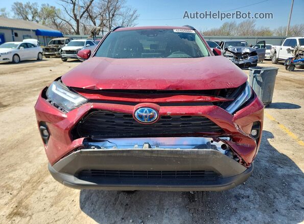 4T3B6RFV2RU175793 2024 TOYOTA RAV4 Burgundy 