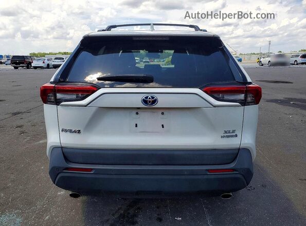 4T3B6RFV5MU024844 2021 TOYOTA RAV4 White Հետևի տեսք