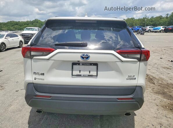 4T3B6RFV8RU171313 2024 TOYOTA RAV4 White 