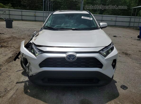 4T3B6RFV8RU171313 2024 TOYOTA RAV4 White 