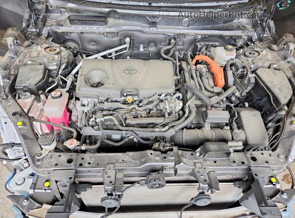 4T3D6RFV0PU106896 2023 TOYOTA RAV4 Gray 