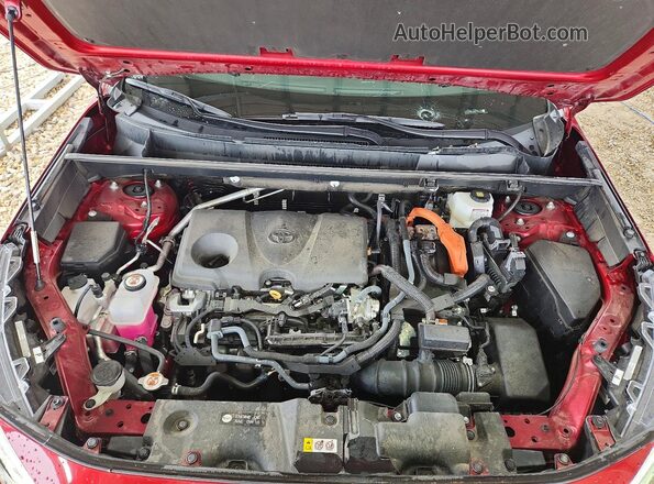 4T3D6RFV5PU116145 2023 TOYOTA RAV4 Красный 