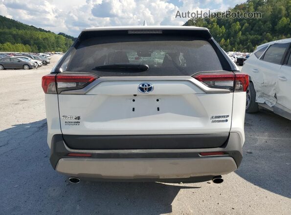 4T3D6RFV6PU138073 2023 TOYOTA RAV4 White Հետևի տեսք