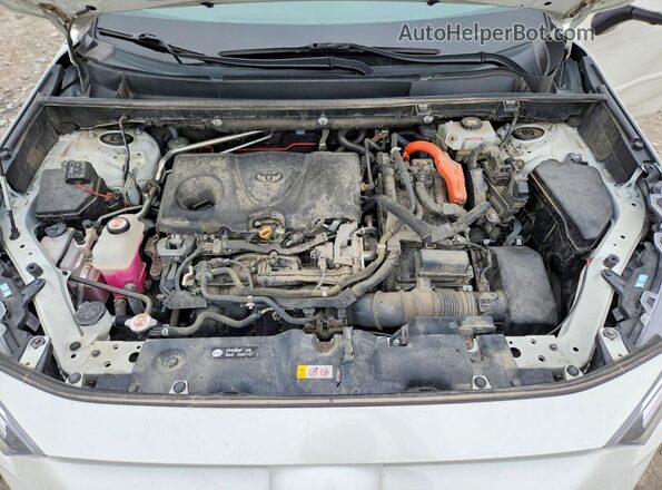 4T3D6RFV9MU051652 2021 TOYOTA RAV4 White 