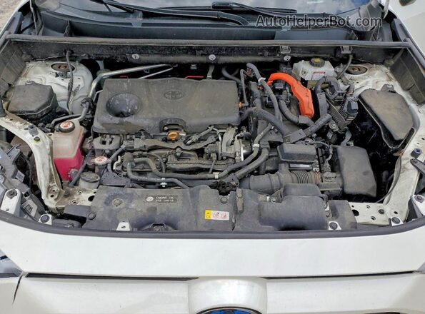 4T3DWRFV6LU005534 2020 TOYOTA RAV4 White Շարժիչի բաժամունքի տեսք