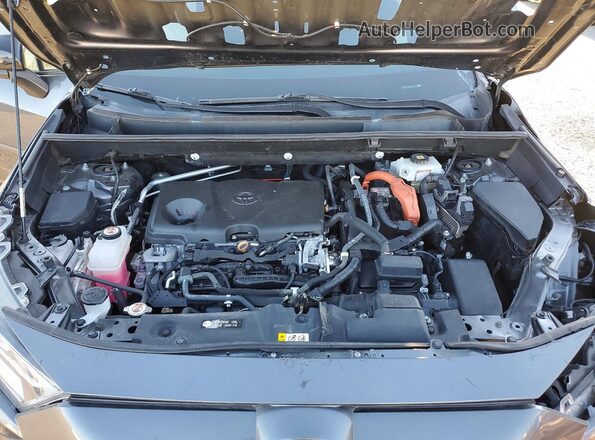 4T3E6RFV3MU005979 2021 TOYOTA RAV4 Gray Սալոնի հետևի տեսք