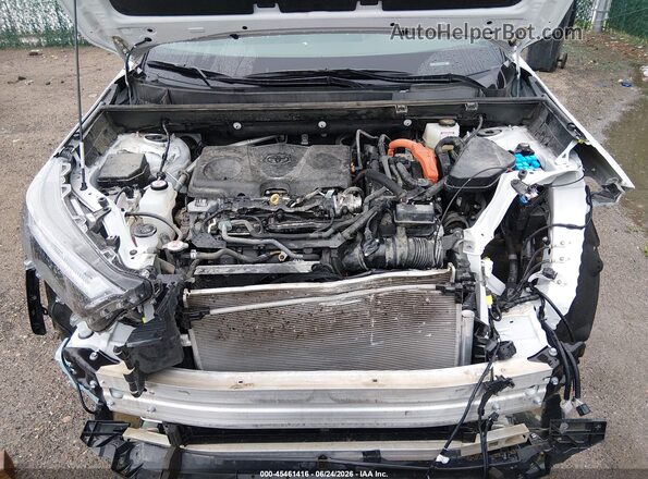 4T3E6RFV8SU179544 2025 TOYOTA RAV4 HYBRID Белый Вид сзади