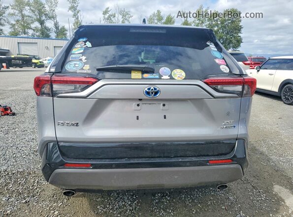 4T3EWRFV2LU003977 2020 TOYOTA RAV4 Silver Rear view