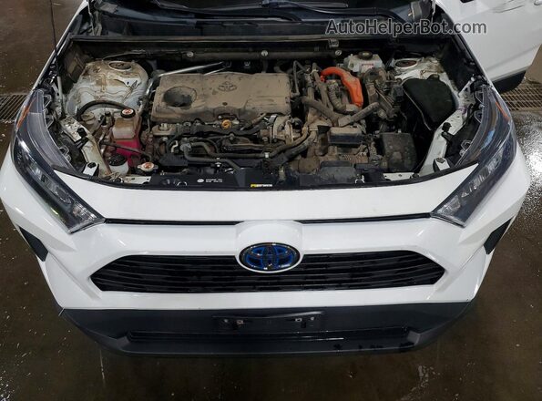 4T3LWRFV0MU034668 2021 TOYOTA RAV4 White უკანა სალონის ხედი