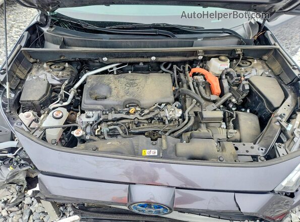 4T3LWRFV0RU120408 2024 TOYOTA RAV4 Gray 