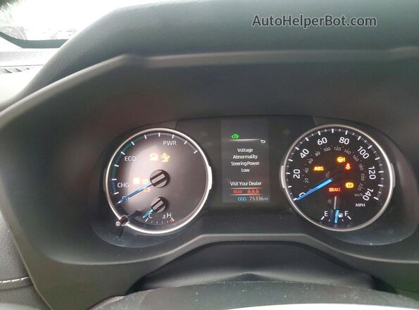 4T3LWRFV1MU031035 2021 TOYOTA RAV4 White 