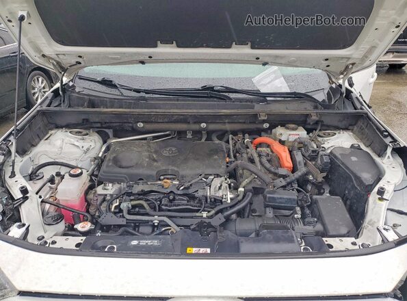 4T3LWRFV1MU031035 2021 TOYOTA RAV4 White 