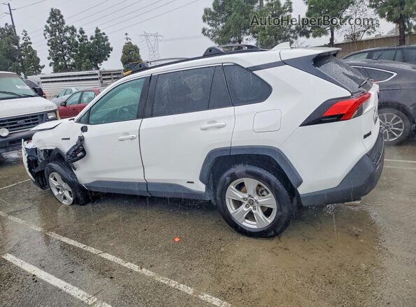 4T3LWRFV1MU031035 2021 TOYOTA RAV4 White 