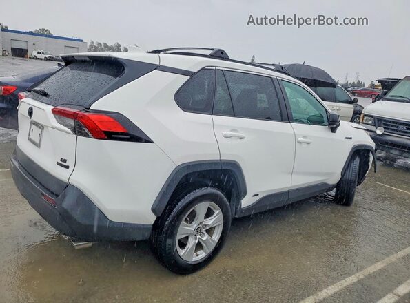 4T3LWRFV1MU031035 2021 TOYOTA RAV4 White 