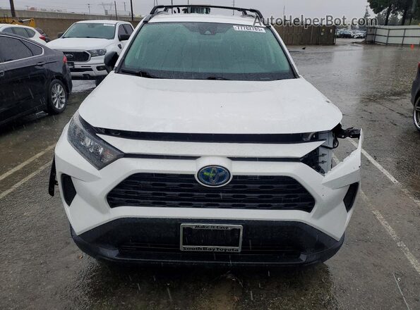 4T3LWRFV1MU031035 2021 TOYOTA RAV4 White 