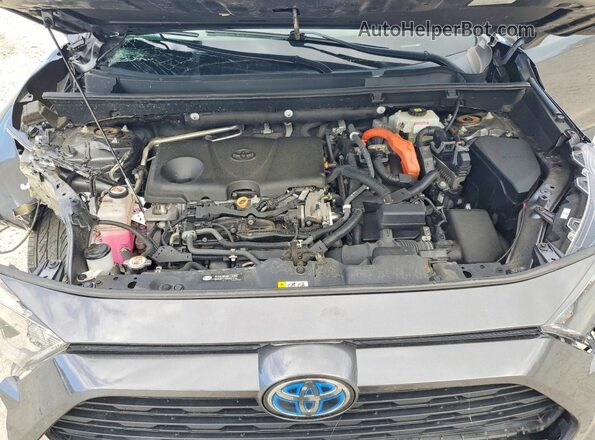 4T3LWRFV6MU030897 2021 TOYOTA RAV4 Gray 