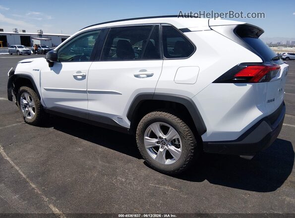 4T3LWRFV6MU034061 2021 TOYOTA RAV4 HYBRID White Հետևի ձախ
