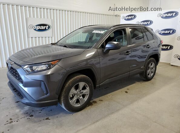 4T3LWRFV6NU065179 2022 TOYOTA RAV4 Серый Панорамный вид салона 360°