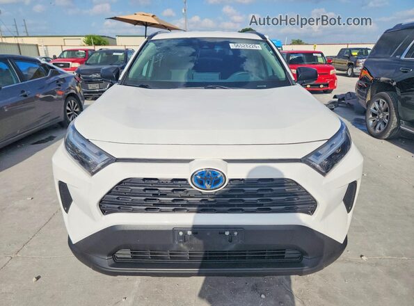 4T3LWRFV7RU112631 2024 TOYOTA RAV4 White 