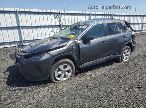 4T3LWRFV9MU033356 2021 TOYOTA RAV4 Gray 