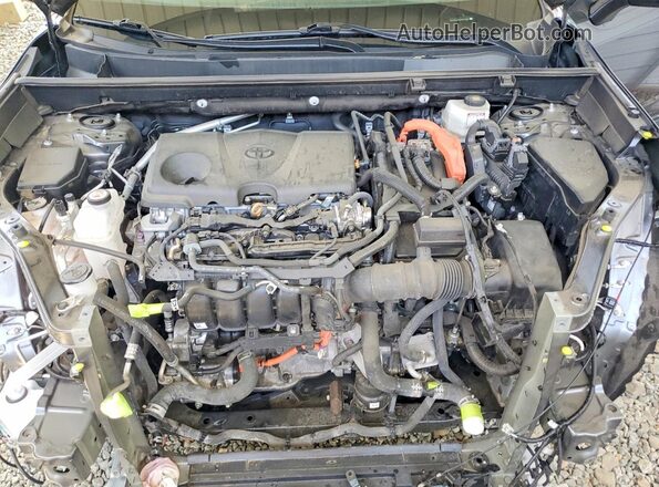 4T3LWRFV9PU104723 2023 TOYOTA RAV4 Gray 