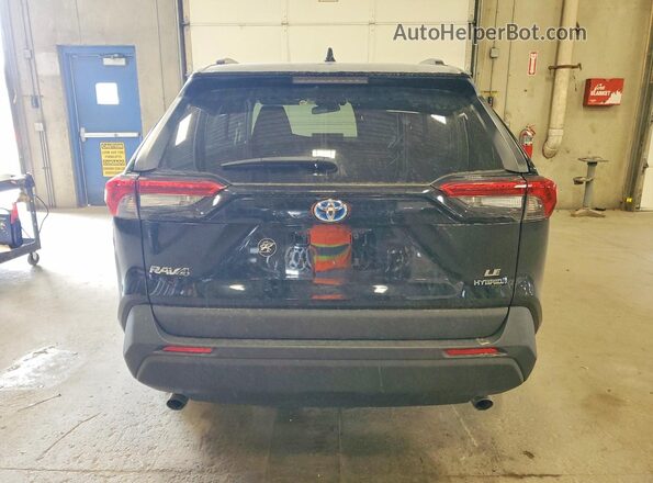 4T3MWRFV2LU008219 2020 TOYOTA RAV4 Black Вид ззаду