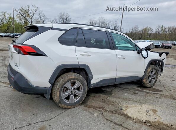 4T3MWRFV5PU099394 2023 TOYOTA RAV4 Белый 