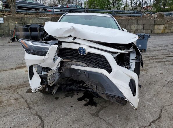 4T3MWRFV5PU099394 2023 TOYOTA RAV4 Белый 