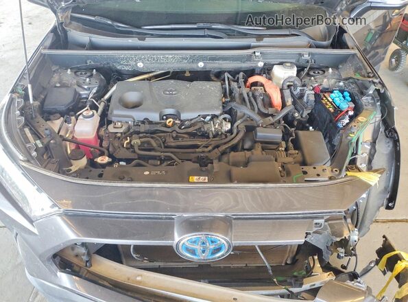 4T3MWRFV8RU145075 2024 TOYOTA RAV4 Gray 