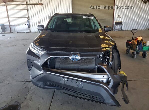 4T3MWRFV8RU145075 2024 TOYOTA RAV4 Gray 