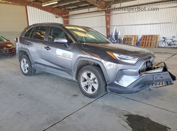 4T3MWRFV8RU145075 2024 TOYOTA RAV4 Gray 