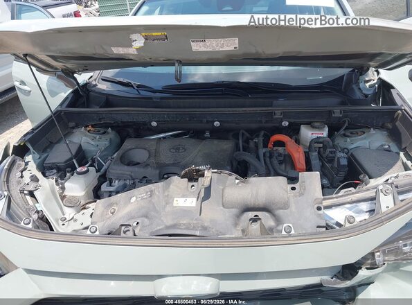 4T3RWRFV0PU084906 2023 TOYOTA RAV4 HYBRID Green Вид ззаду