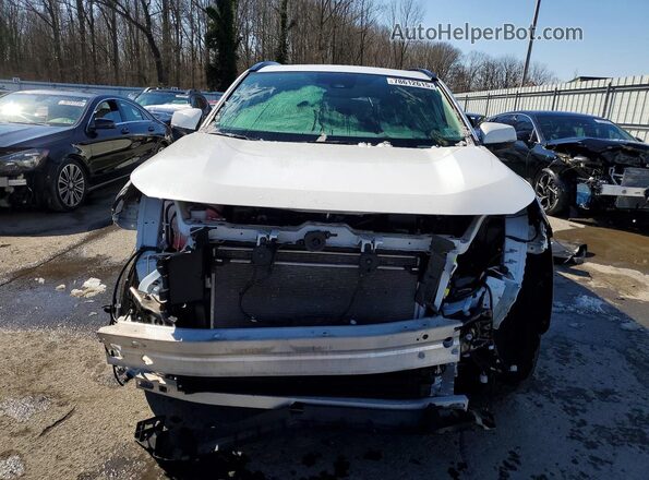 4T3RWRFV0RU114361 2024 TOYOTA RAV4 White Vista frontal