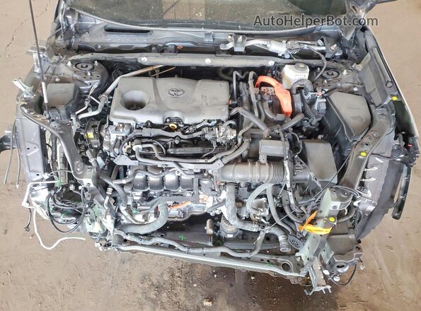 4T3RWRFV0SU186540 2025 TOYOTA RAV4 Gray Rear interior view