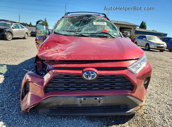 4T3RWRFV2MU047982 2021 TOYOTA RAV4 Burgundy წინა ხედი