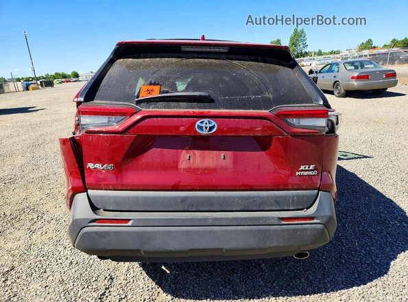 4T3RWRFV2MU047982 2021 TOYOTA RAV4 Burgundy უკანა ხედი