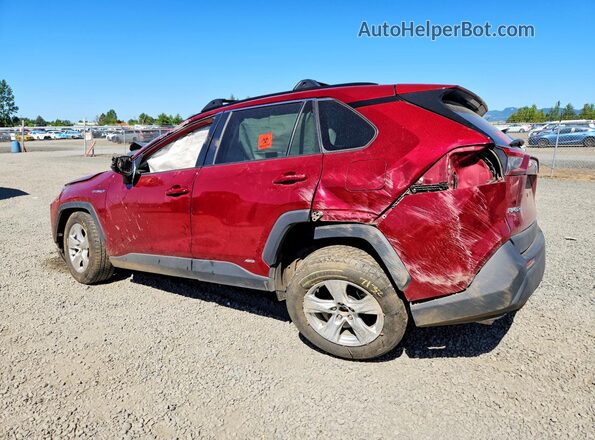 4T3RWRFV2MU047982 2021 TOYOTA RAV4 Burgundy უკანა მარცხენა