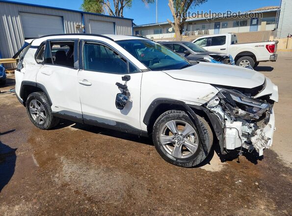 4T3RWRFV2RU135325 2024 TOYOTA RAV4 White 