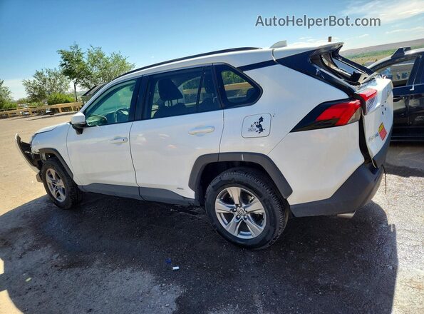 4T3RWRFV2RU135325 2024 TOYOTA RAV4 White 