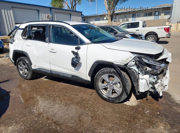 4T3RWRFV2RU135325 2024 TOYOTA RAV4 White 