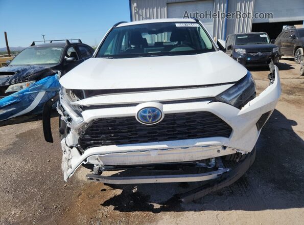 4T3RWRFV2RU135325 2024 TOYOTA RAV4 White 