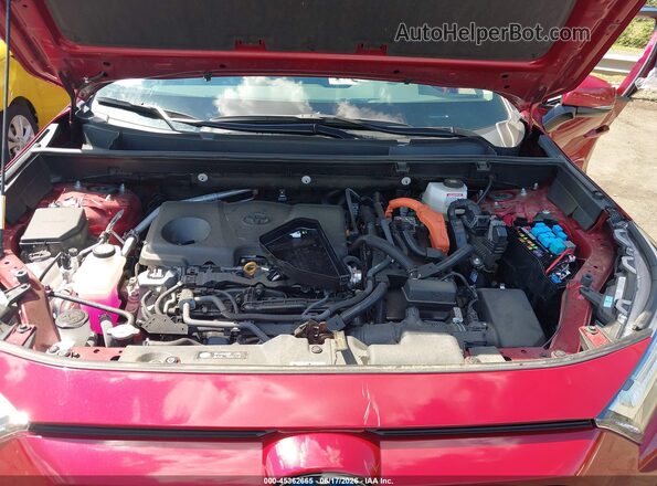 4T3RWRFV2RU142551 2024 TOYOTA RAV4 HYBRID Red Widok z tyłu