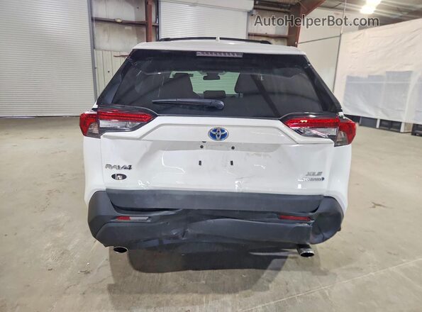 4T3RWRFV3RU122583 2024 TOYOTA RAV4 Белый Вид сзади