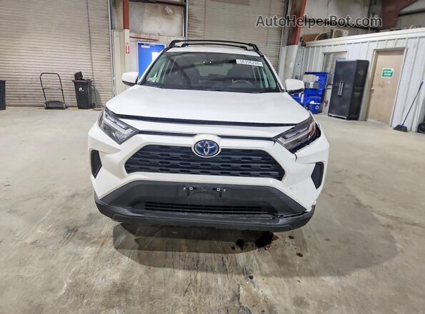 4T3RWRFV3RU122583 2024 TOYOTA RAV4 Белый Вид спереди