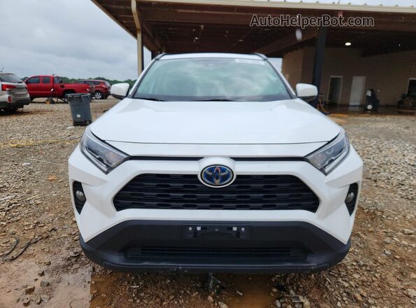 4T3RWRFV4MU023084 2021 TOYOTA RAV4 White Widok z przodu