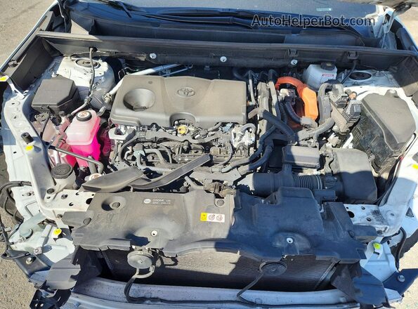 4T3RWRFV4PU101822 2023 TOYOTA RAV4 White უკანა სალონის ხედი