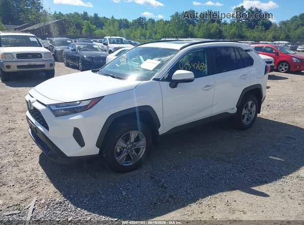 4T3RWRFV4SU188579 2025 TOYOTA RAV4 HYBRID White Задня ліва чверть