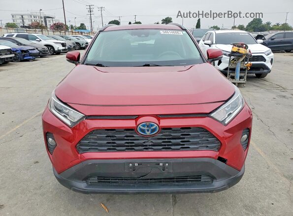 4T3RWRFV5MU025488 2021 TOYOTA RAV4 Red Դիմացի տեսք
