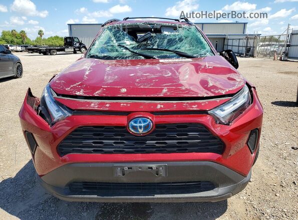 4T3RWRFV5RU127381 2024 TOYOTA RAV4 Maroon 